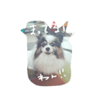 クッキー！！！！（個別スタンプ：8）