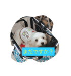こんにちは（個別スタンプ：2）