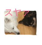 スピッツ日和（個別スタンプ：3）