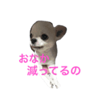 こんにちわわ（個別スタンプ：6）