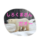 こんにちわわ（個別スタンプ：7）