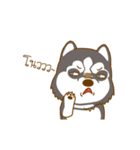Coffee and Latte Husky ver2（個別スタンプ：11）