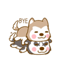 Coffee and Latte Husky ver2（個別スタンプ：12）