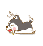 Coffee and Latte Husky ver2（個別スタンプ：17）