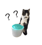リーシャとモニカ（個別スタンプ：1）