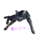 リーシャとモニカ（個別スタンプ：2）
