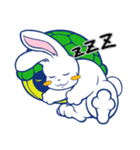 兎亀 -USAKAME-（個別スタンプ：2）