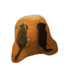 キキララエブリデイ（個別スタンプ：15）