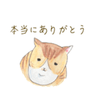 トラねこミーとクロねこクー（個別スタンプ：17）