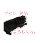 こてつとはな。（個別スタンプ：3）