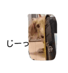 みんなの会話（個別スタンプ：10）