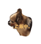 さんきち。（個別スタンプ：15）