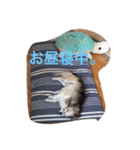 さんきち。（個別スタンプ：16）