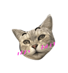oh my animals（個別スタンプ：2）