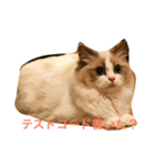 しーちゃんかわいいよしーちゃん（個別スタンプ：3）