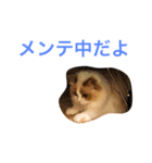 しーちゃんかわいいよしーちゃん（個別スタンプ：4）