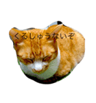 ププ（個別スタンプ：4）