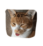 ププ（個別スタンプ：7）