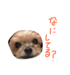 モイモイのスタンプ（個別スタンプ：6）