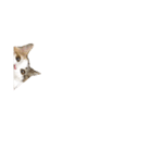 三毛猫ののさん（個別スタンプ：11）