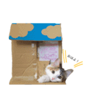 三毛猫ののさん（個別スタンプ：12）