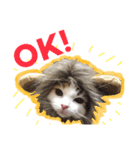 三毛猫ののさん（個別スタンプ：16）