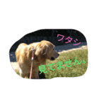 気まぐれフリコ（個別スタンプ：2）