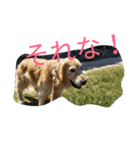 気まぐれフリコ（個別スタンプ：3）