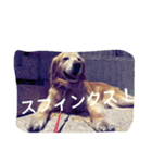 気まぐれフリコ（個別スタンプ：5）