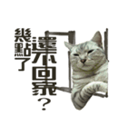 sweet pepper's dairy life（個別スタンプ：23）