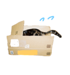 タイガー ver1（個別スタンプ：4）