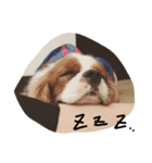 すぷーとにく（個別スタンプ：2）