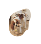 すぷーとにく（個別スタンプ：4）