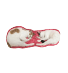 あおいのまる・うしわかまる（個別スタンプ：5）