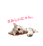 todays_momo（個別スタンプ：6）