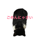 ちぃ（個別スタンプ：2）