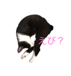 ちぃ（個別スタンプ：4）
