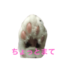 ちぃ（個別スタンプ：8）
