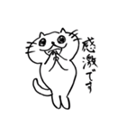 ねこの助スタンプ①（個別スタンプ：1）