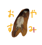 フェレットさんら2（個別スタンプ：3）