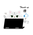 Meow.....Kitty（個別スタンプ：10）