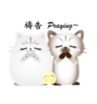 Meow.....Kitty（個別スタンプ：19）