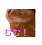 うさぎのなつお（個別スタンプ：3）
