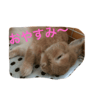 うさぎのなつお（個別スタンプ：5）