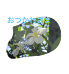 癒しの間（個別スタンプ：1）