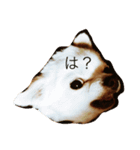 ハタケ用（個別スタンプ：1）