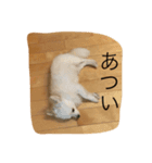 ハタケ用（個別スタンプ：2）