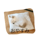 ハタケ用（個別スタンプ：4）
