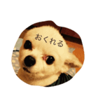 ハタケ用（個別スタンプ：5）