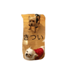 ハタケ用（個別スタンプ：6）
